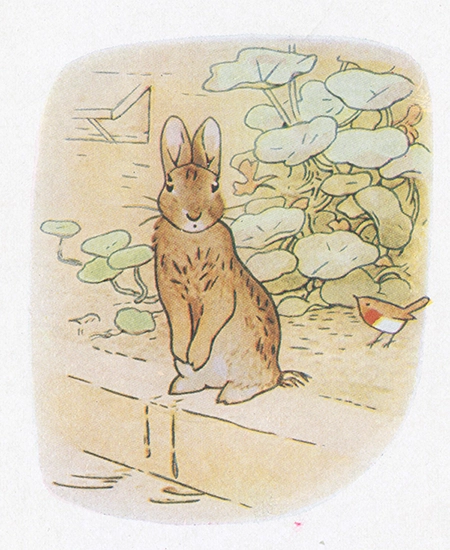 Peter Rabbit Sat Down to Rest